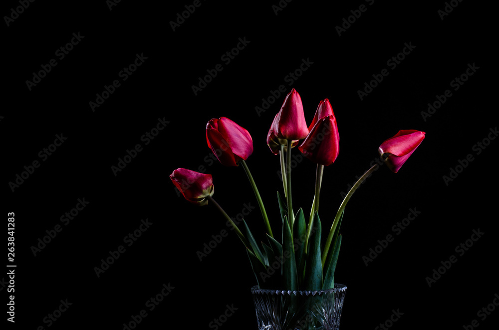 Bouquet of red tulips on a black background. Bouquet of red tulips on a black background.