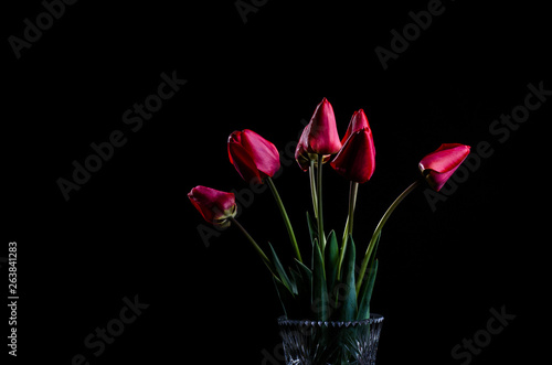 Fototapeta Naklejka Na Ścianę i Meble -  Bouquet of red tulips on a black background.