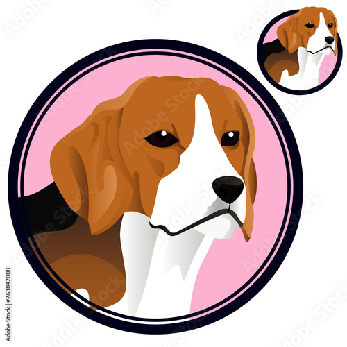 beagle head in circle