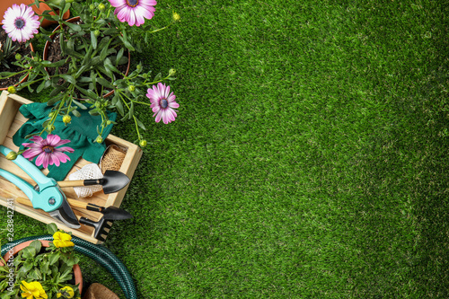 Fototapeta Naklejka Na Ścianę i Meble -  Flat lay composition with gardening equipment and flowers on green grass, space for text