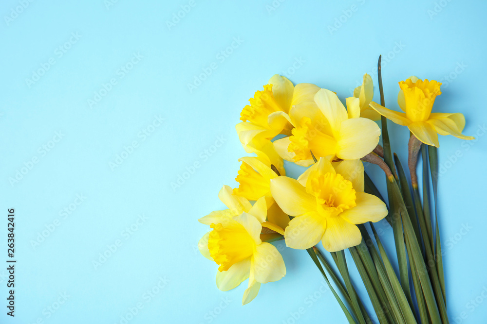 Bouquet of daffodils on color background, top view with space for text. Fresh spring flowers Bouquet of daffodils on color background, top view with space for text. Fresh spring flowers