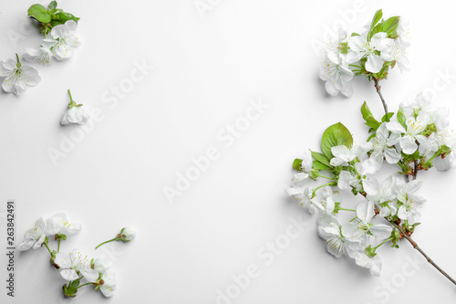 Beautiful fresh spring flowers on white background  top view
