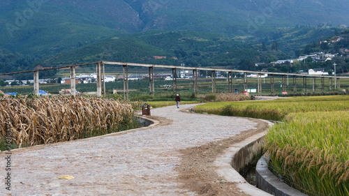 Country road in Yunnan countryside through fields