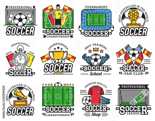 Soccer professional sport league fan club icons