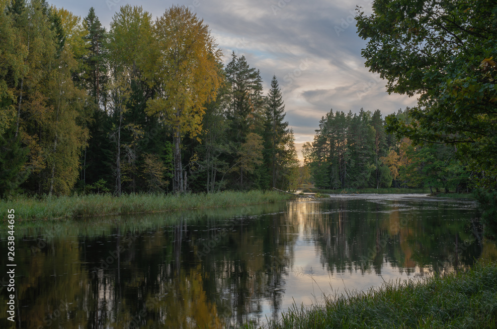 River landscape! Farnebofjarden national park in Sweden.