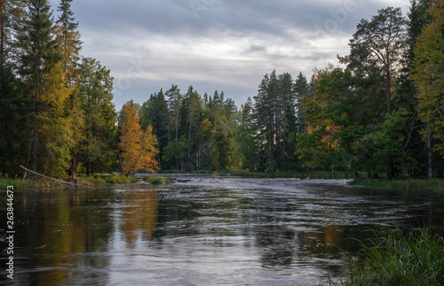 River landscape! Farnebofjarden national park in Sweden.