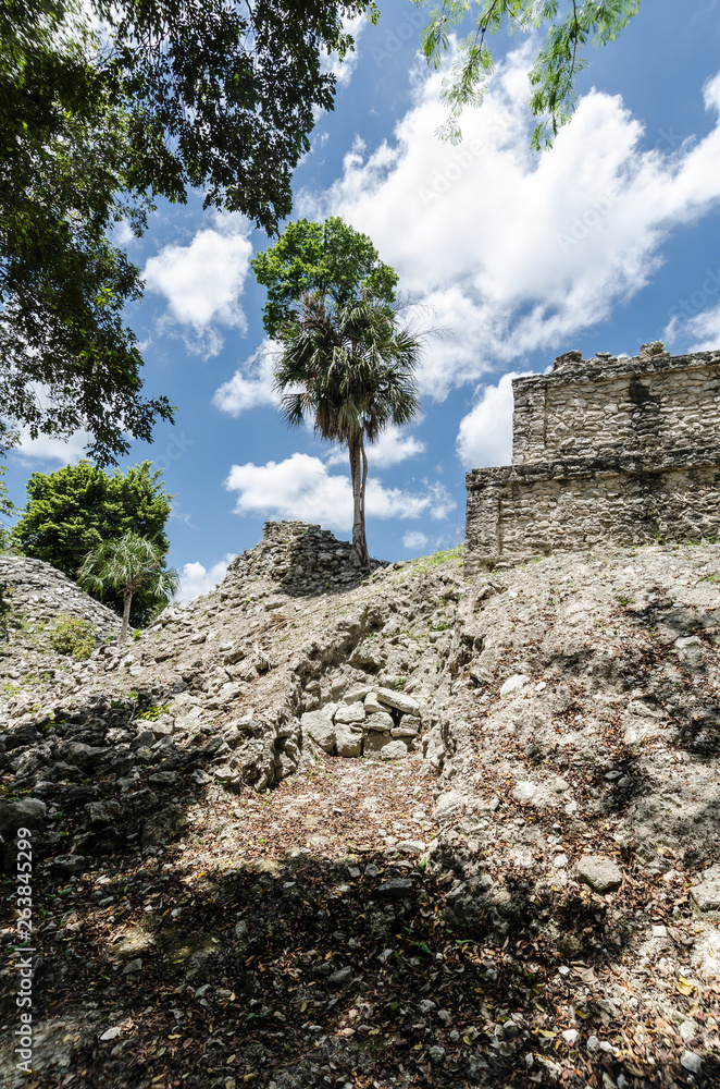 Fototapeta premium Muyil archaeological site in Quintana Roo, Mexico