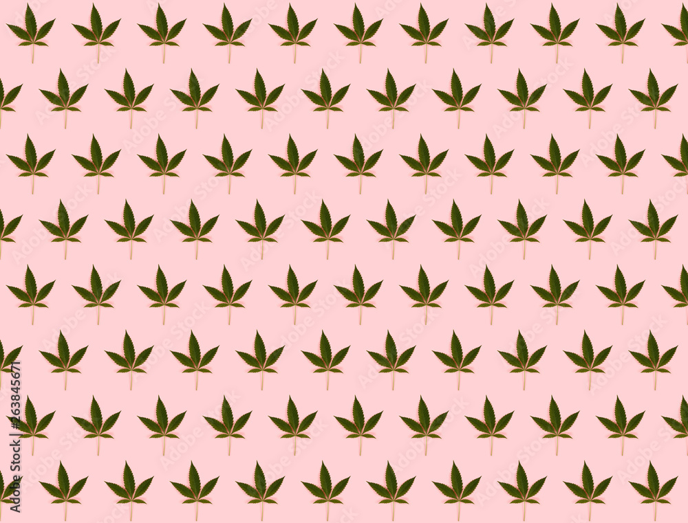 Cannabis Leaf Pattern on Pink Cannabis Leaf Pattern on Pink