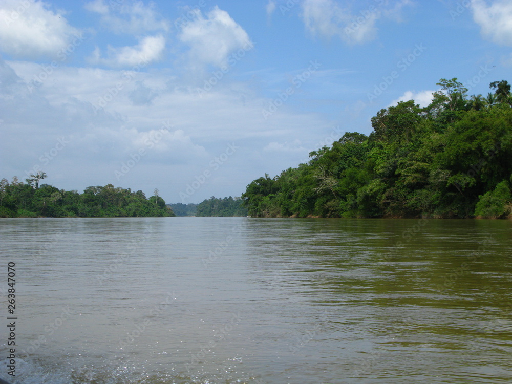 Taman Negara, Rain forest, Malaysia Taman Negara, Rain forest, Malaysia