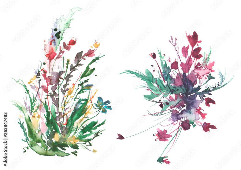 Watercolor drawing green grass and flowers, painted wild plants. Set with wild plant . flowers in green grass, painted botanical illustration in vintage style, color floral composition. Watercolor drawing green grass and flowers, painted wild plants. Set with wild plant . flowers in green grass, painted botanical illustration in vintage style, color floral composition.
