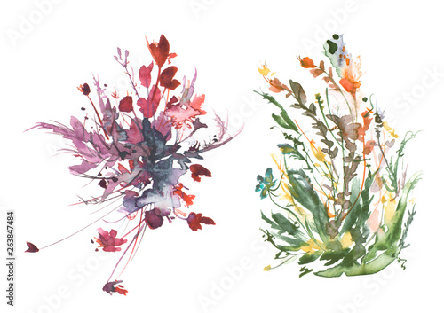 Watercolor drawing green grass and flowers, painted wild plants. Set with wild plant . flowers in green grass, painted botanical illustration in vintage style, color floral composition.