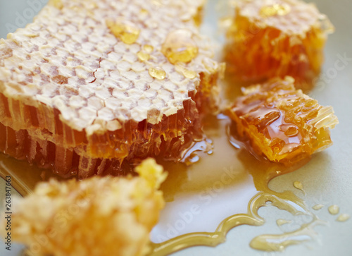 Honeycomb and honey on a plate photo