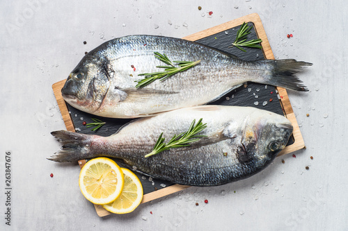 Photography Fresh fish dorado on blue background.