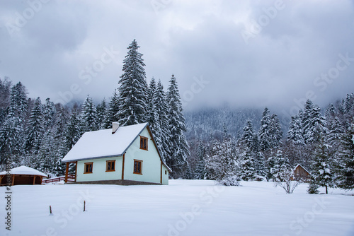 House covered in snow surrounded by frozen forest