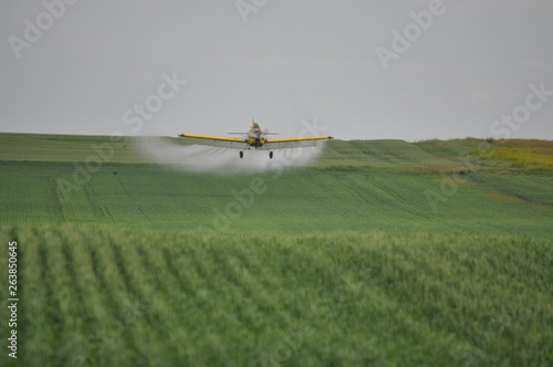 Cropdust Swirl