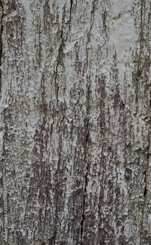 wood background texture, abstract,