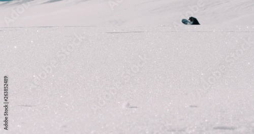 Snowboarder walking in the fresh powder snow