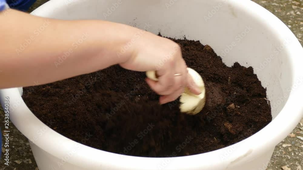 Female hands stir the ground in a pot Female hands stir the ground in a pot