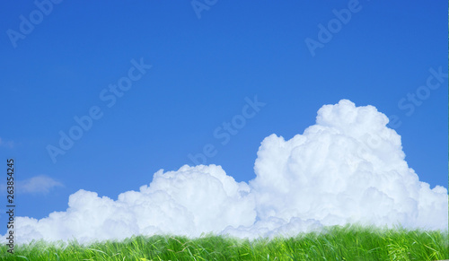 Photos 夏の雲（積乱雲）と草原