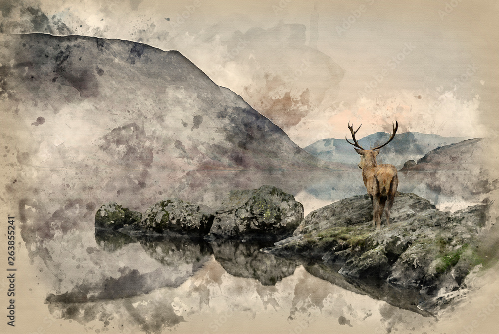 Obraz Akwarela przedstawiająca Oszałamiający potężny jeleń szlachetny spogląda na jezioro w kierunku górskiego krajobrazu w jesiennej scenie