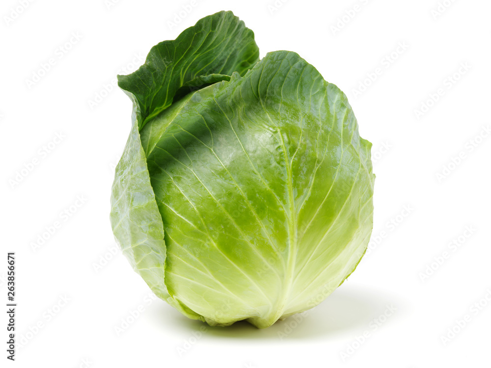 Obraz premium cabbage on white background