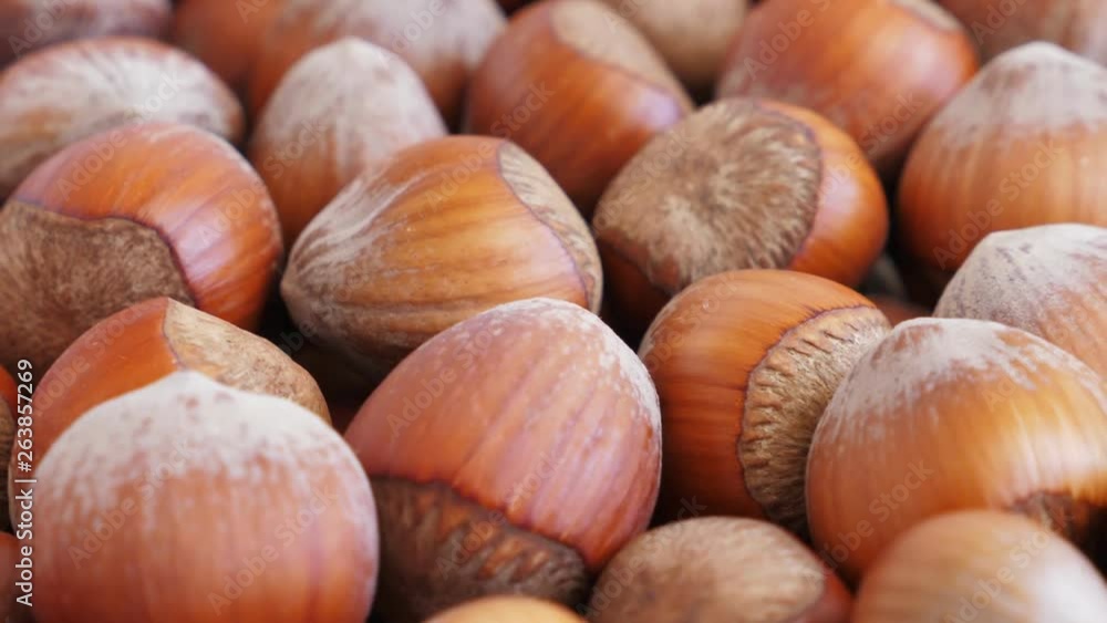 Hazelnut abstract background, top view. Rotating Hazelnut abstract background, top view. Rotating