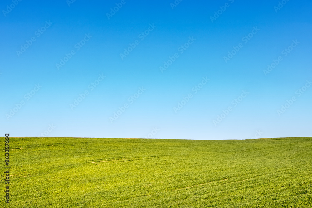 Fototapeta premium Minimalist shot of spring or summer landscape