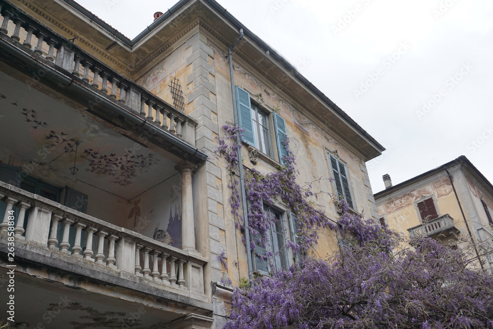 Naklejka premium Old stone abandoned house with purple wisteria growing wild on the wall in Ticino, Switzerland