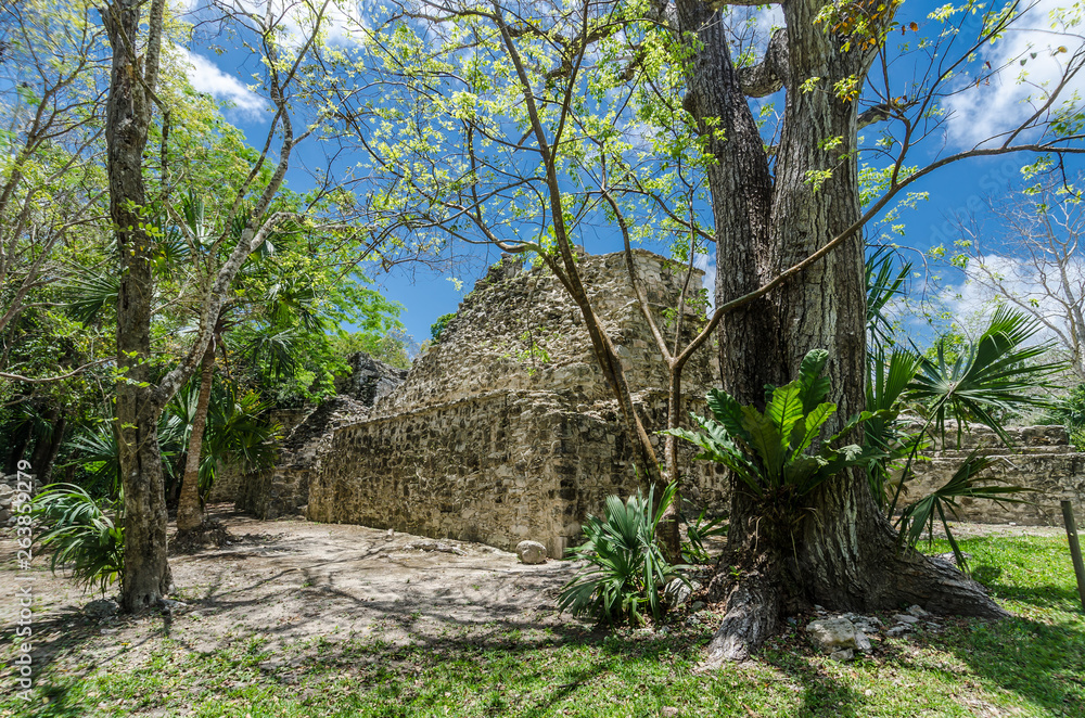 Muyil archaeological site in Quintana Roo, Mexico Muyil archaeological site in Quintana Roo, Mexico
