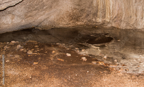 Foto Bat Guano in a Pool of Water in a Cave