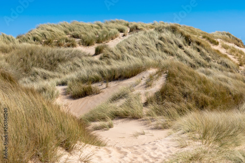 Sand and Dunes