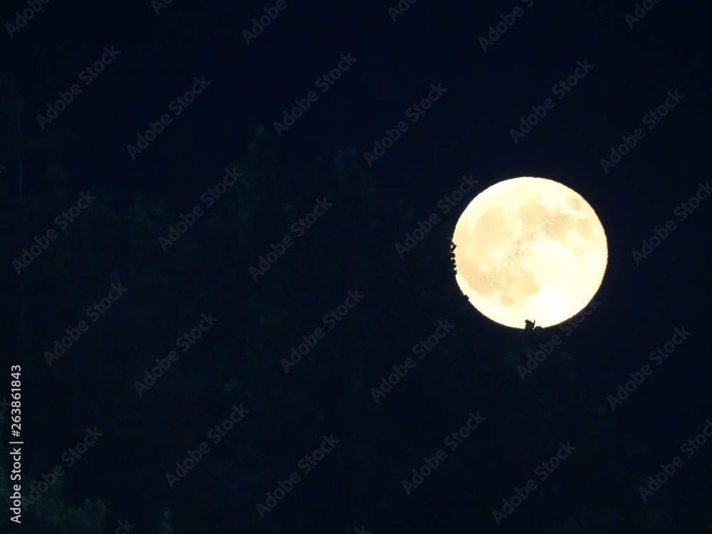 Fototapeta premium moon in the sky