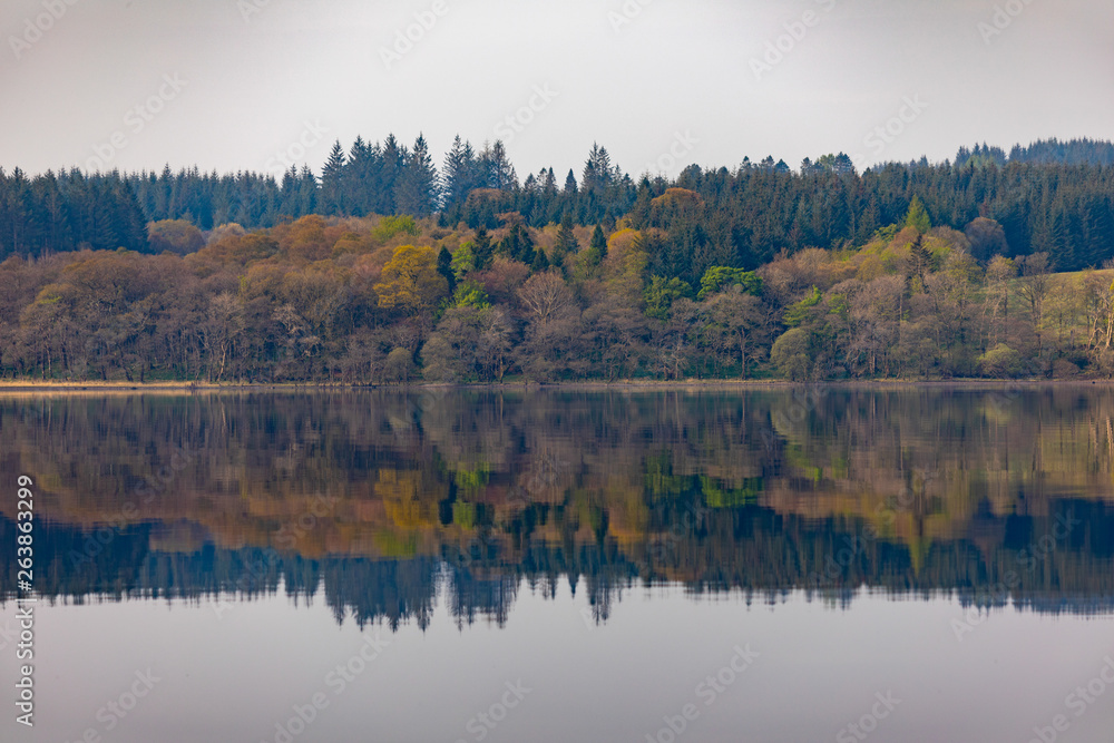 Reflection in Scotland