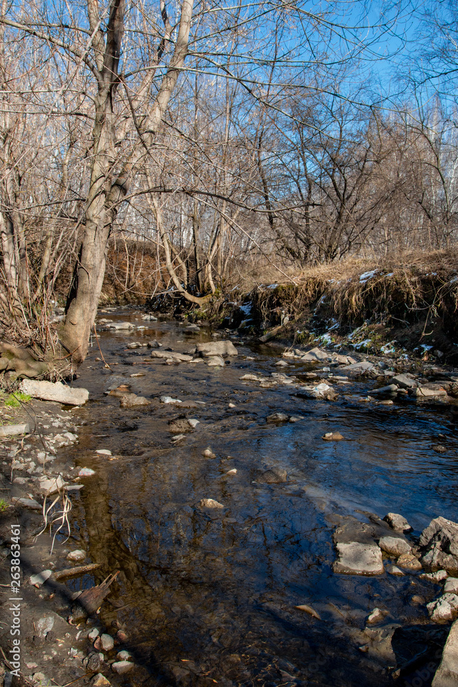 small river with a rocky bottom small river with a rocky bottom