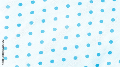 Blue Polka Dot Fabric