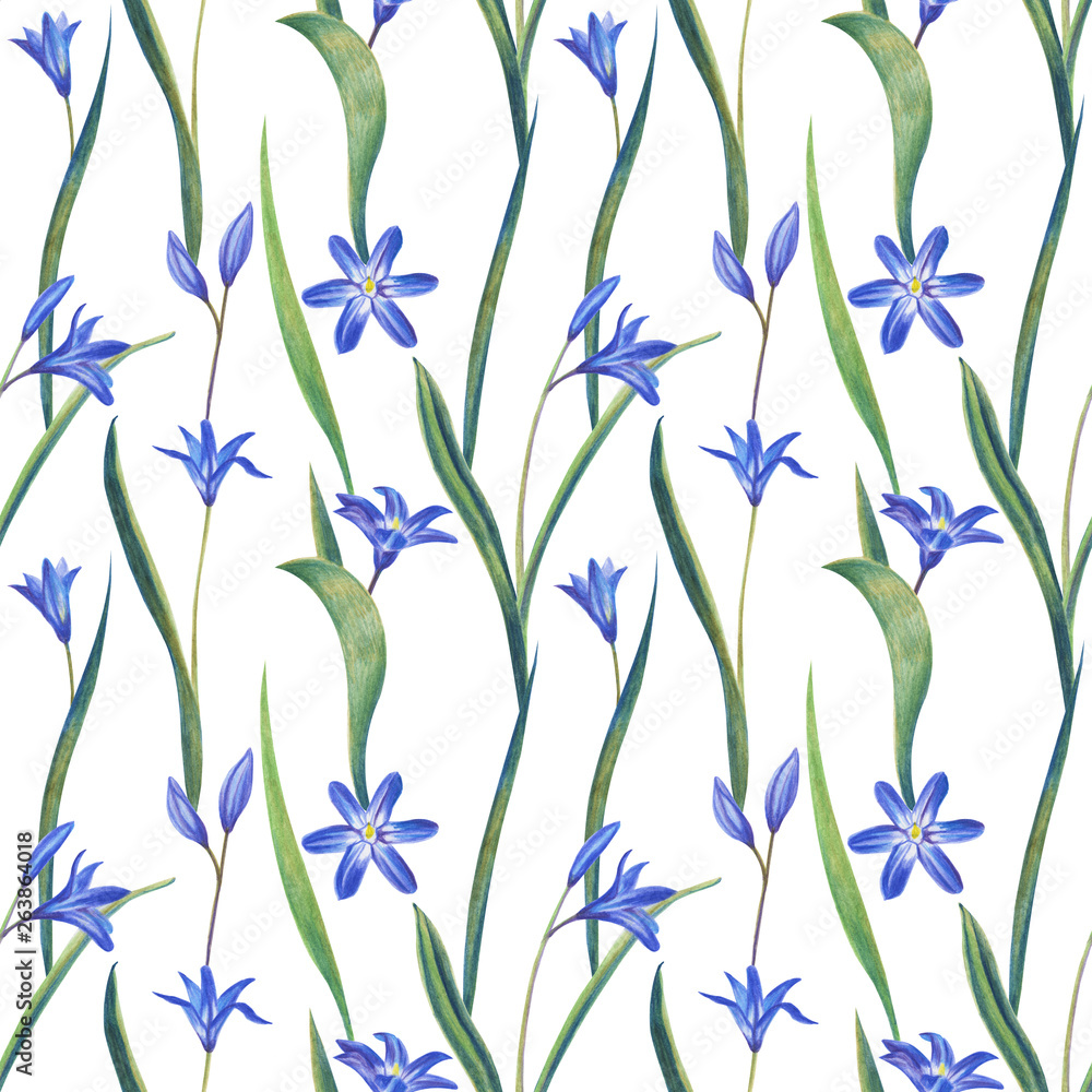 Naklejka Niebieskie wiosenne kwiaty. Rysunek ołówkiem kolor. Szablon dla karty z pozdrowieniami. Kartka ślubna