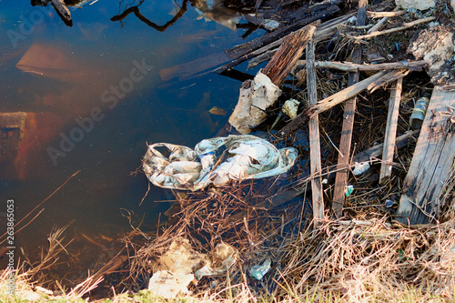 debris in the water a violation of ecology animals