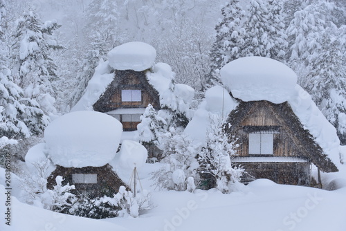 白川郷 shirakawago 冬