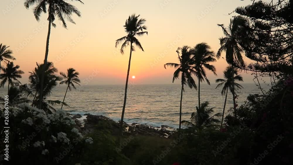 Palm trees on the shore of a tropical beach at sunset. Sri Lanka. Palm trees on the shore of a tropical beach at sunset. Sri Lanka.