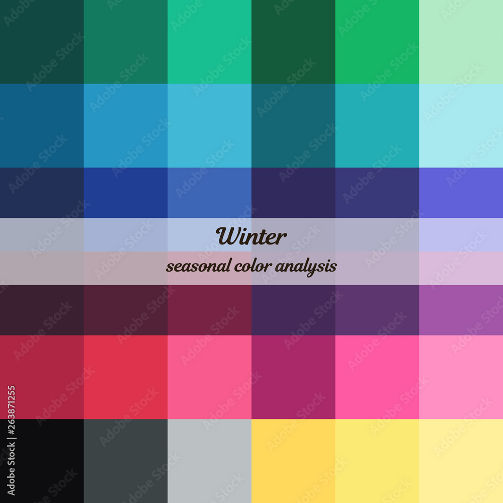 Stock vector color guide. Seasonal color analysis palette for winter ...