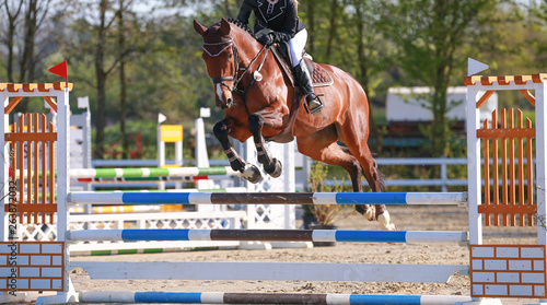 Horse photographed in jumping tournament with rider in flight phase over the jump..