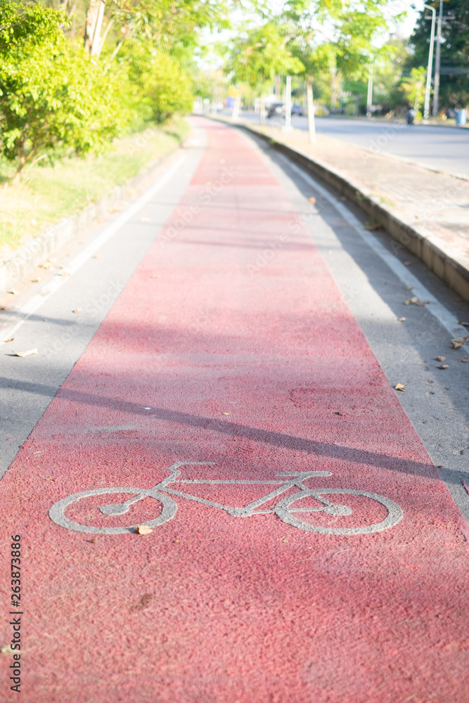 Obraz premium Red Bike lane asphalt texture with sunlight in background in the morning