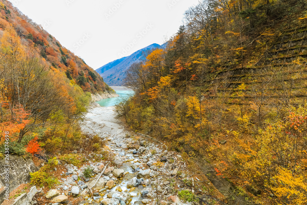 Beautiful autumn leaves of Takase Gorge in omachi district, Nagano PrefectureJapan. Beautiful autumn leaves of Takase Gorge in omachi district, Nagano PrefectureJapan.