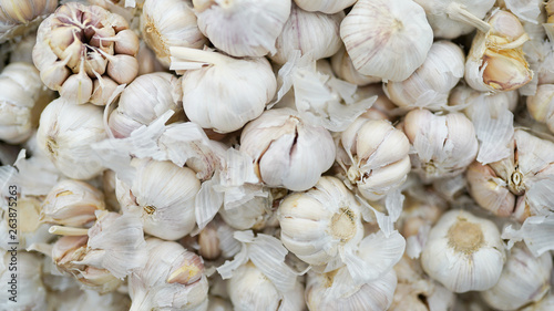 White garlic pile texture. Fresh garlic on market table closeup photo. Vitamin healthy food spice image. Spicy cooking ingredient picture.