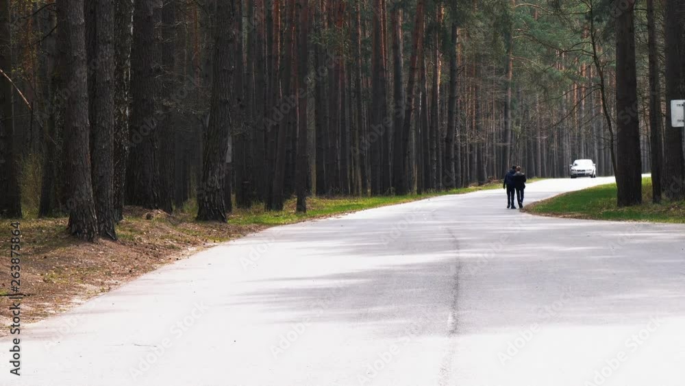 Pine forest. deaf forest road. people hitchhike. Pine forest. deaf forest road. people hitchhike.