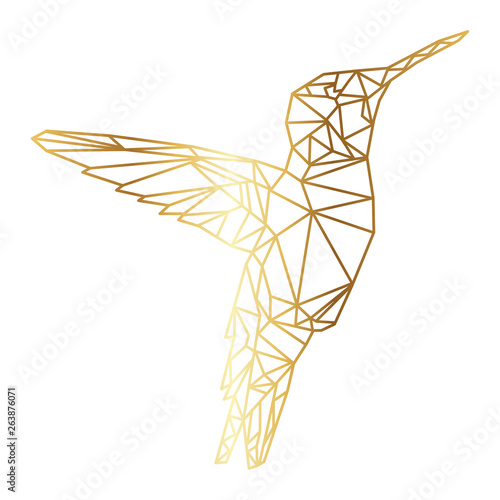 Geometric colibri bird vector illustration