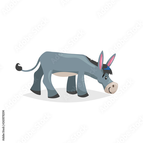 Cute cartoon donkey finding fresh grass. Farm animal. Vector illustration for education or comic needs. Vector drawing isolated on white background.