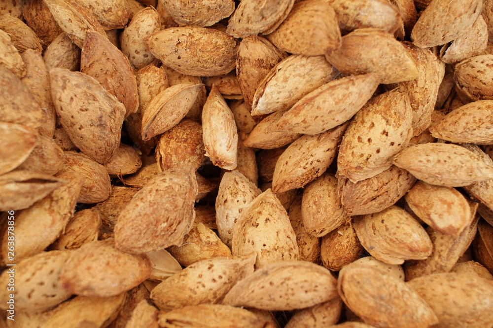 Almonds with shell. Fresh organic almond nuts with shells. Overhead view of raw organic almonds as a background. Healthy food concept. Vegetarian. Almonds with shell. Fresh organic almond nuts with shells. Overhead view of raw organic almonds as a background. Healthy food concept. Vegetarian.