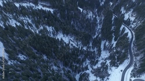 AERIAL: Tilt Shot of Pinewood in the Background with Austrian Alps photo