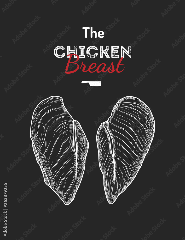 Chicken breast drawing vector illustration. Stock Vector Adobe Stock